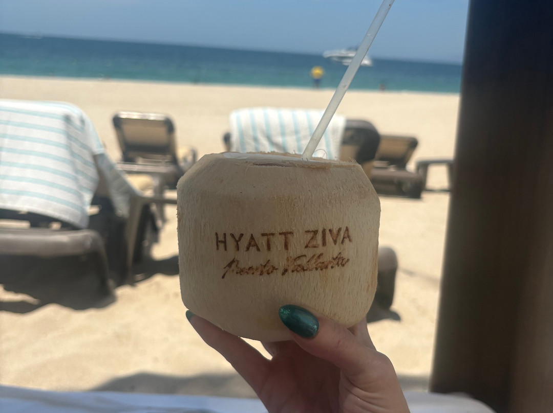 巴亚以塔港Hyatt乐家酒店 - 全包主图