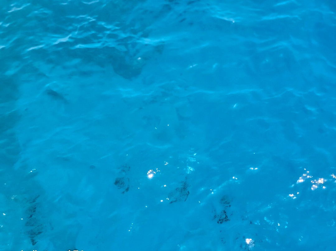 Aqua Nabq Dive Center-沙姆沙伊赫必去景点