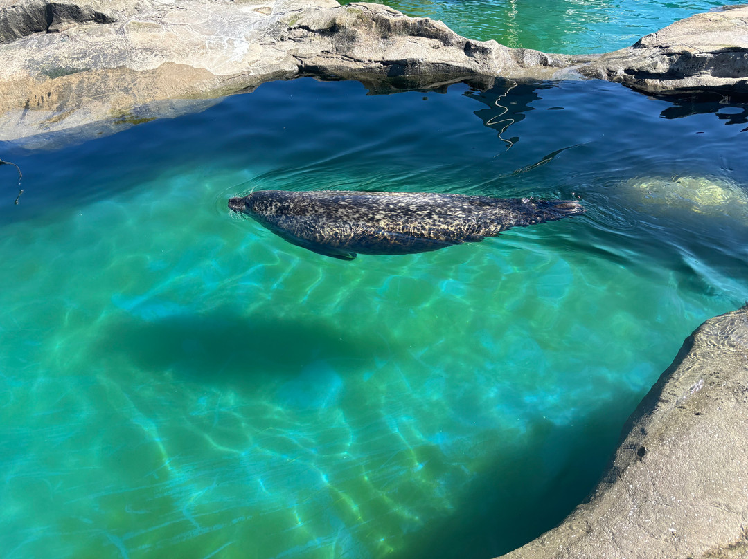 Sea Life Scarborough-斯卡伯勒必去景点