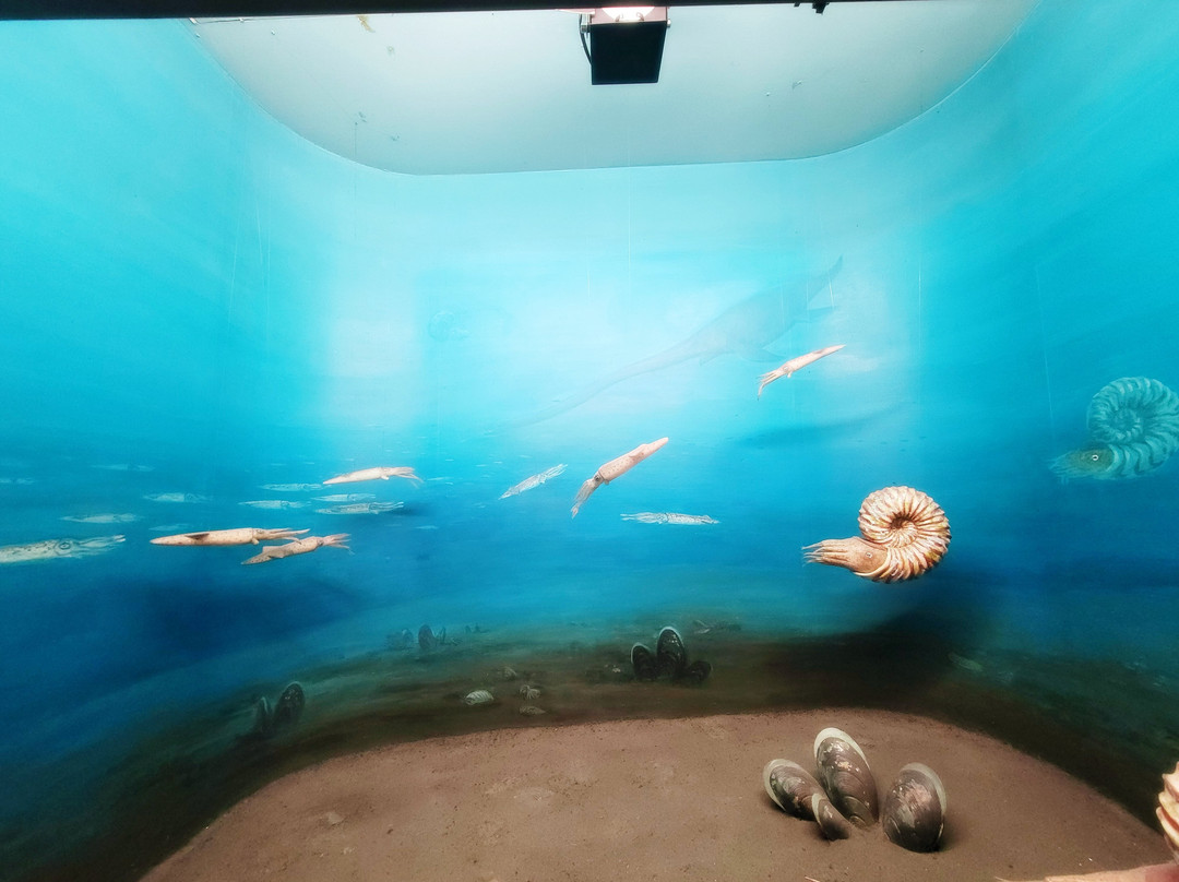 Saitama Museum of Natural History-长瀞町必去景点