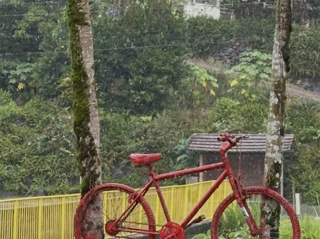 Biketour Vale Europeu-Timbo必去景点