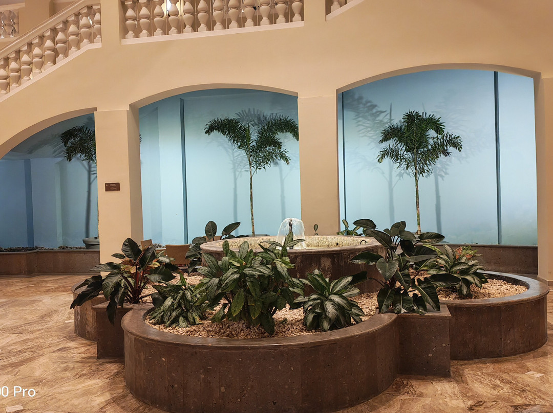 Iberostar Waves Rose Hall Beach主图