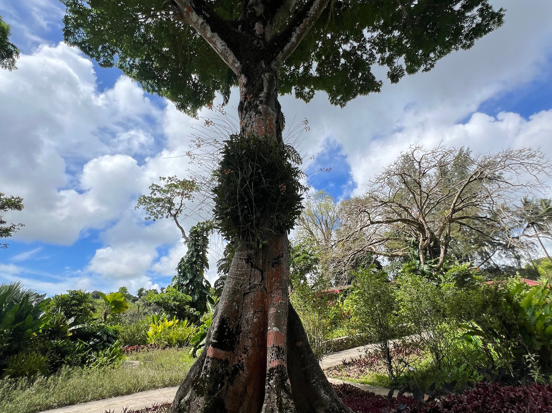 Jardin Botanique de Valombreuse-Petit-Bourg必去景点
