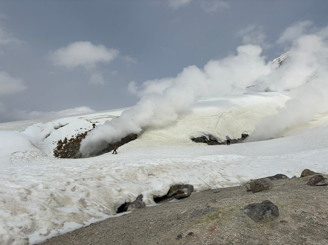 凤凰西