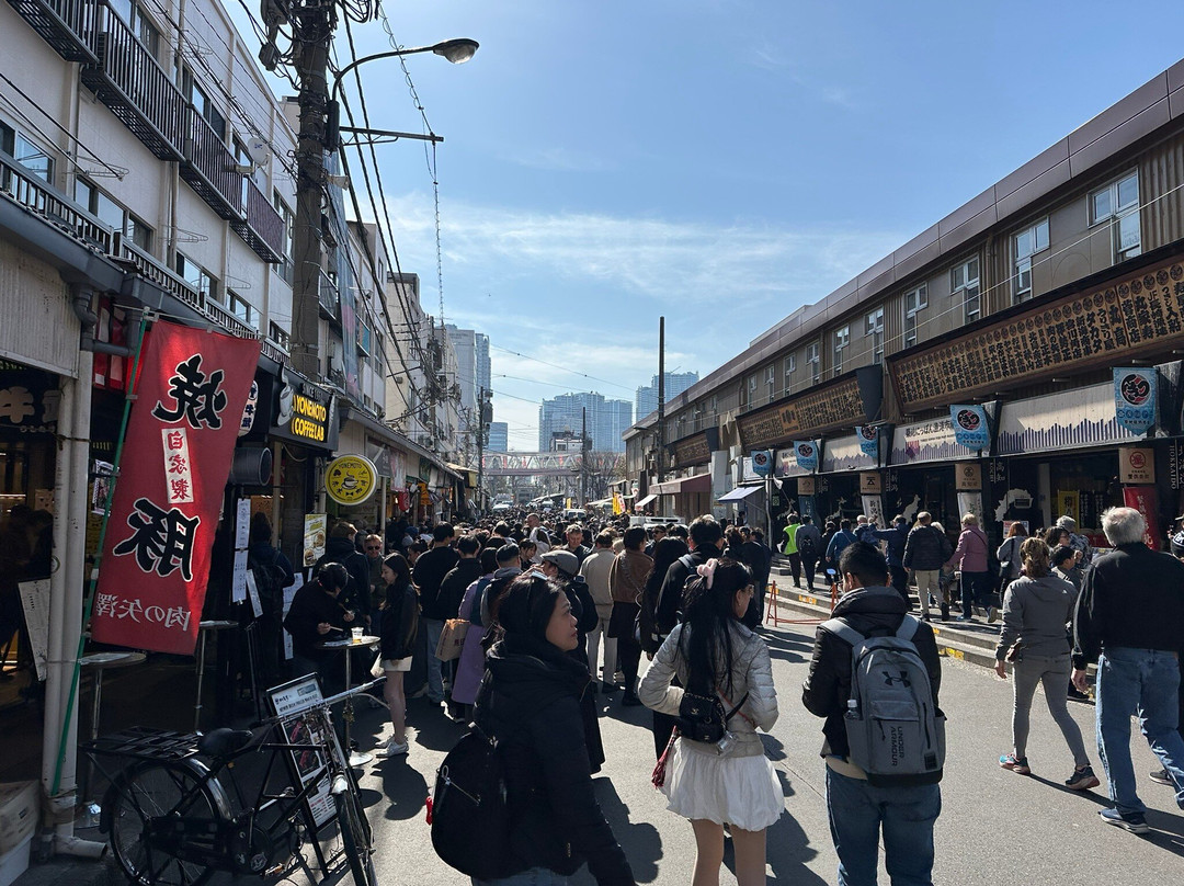Tsukiji Fish Market-Tsukiji必去景点