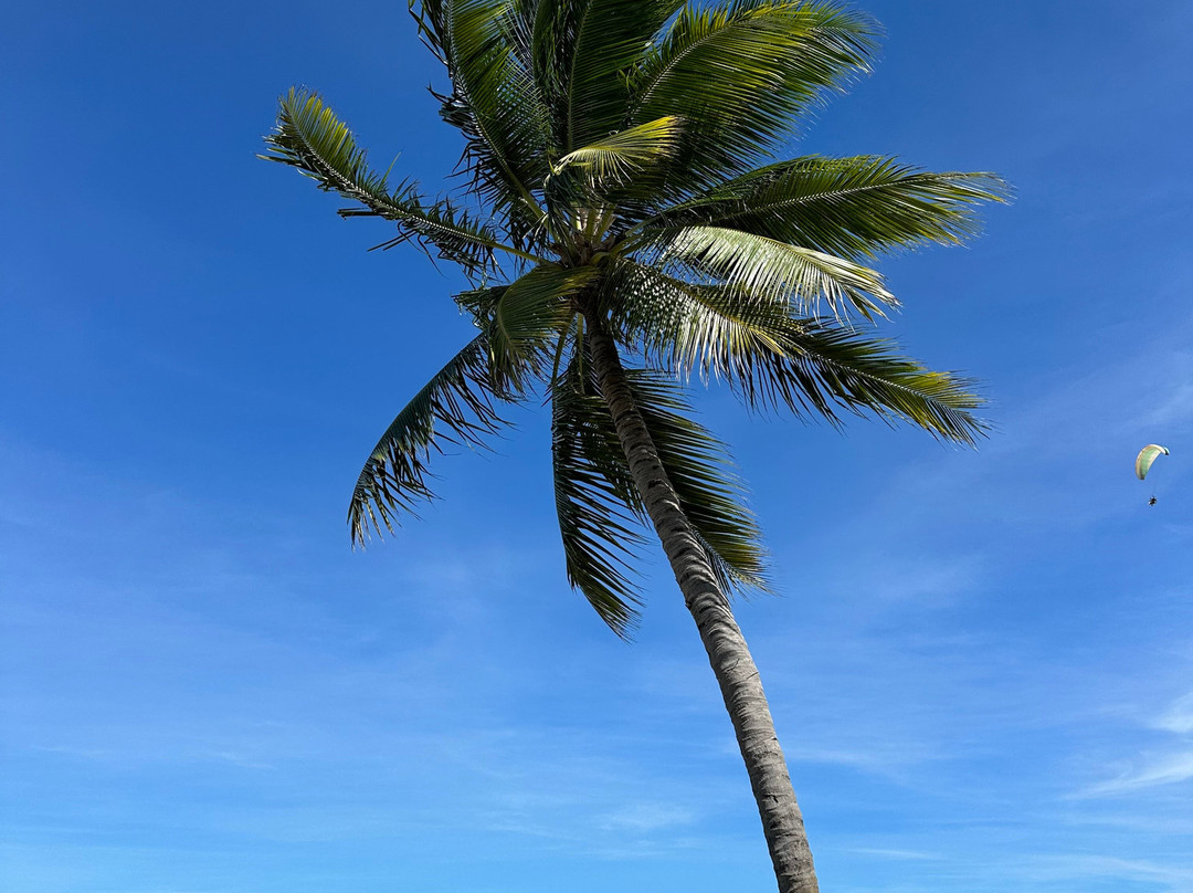 Hibiscus Beach Club-Maceio必去景点
