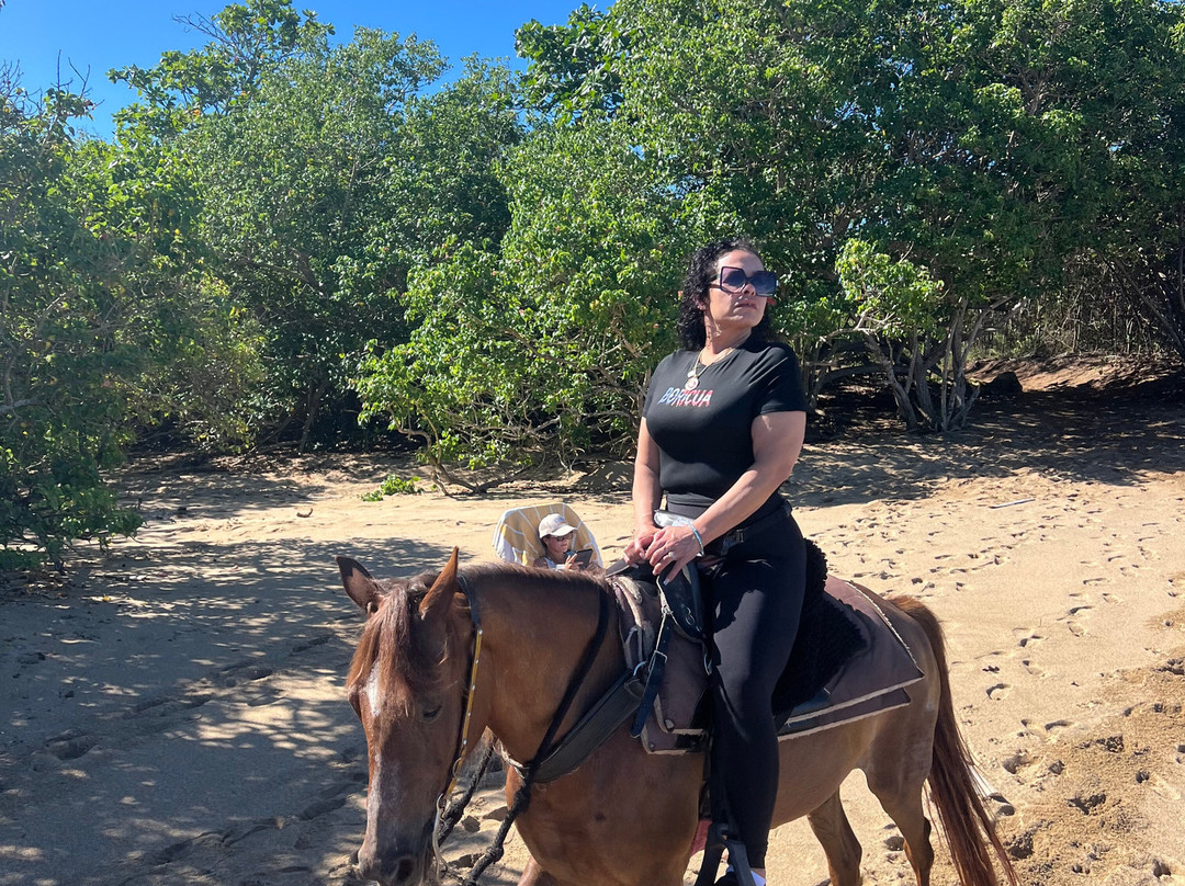 Playuelas Horse Rides-Aguadilla必去景点