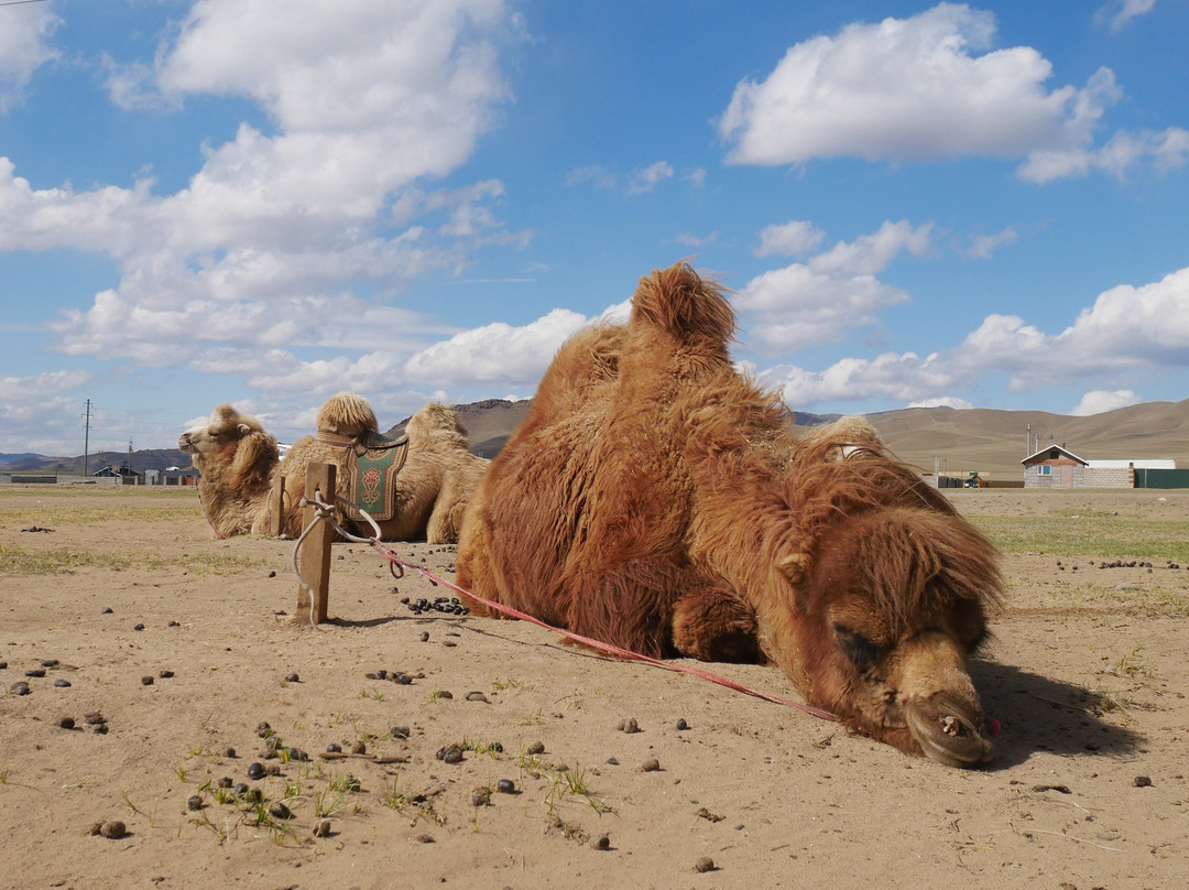 Kazakh Tour-Olgiy必去景点