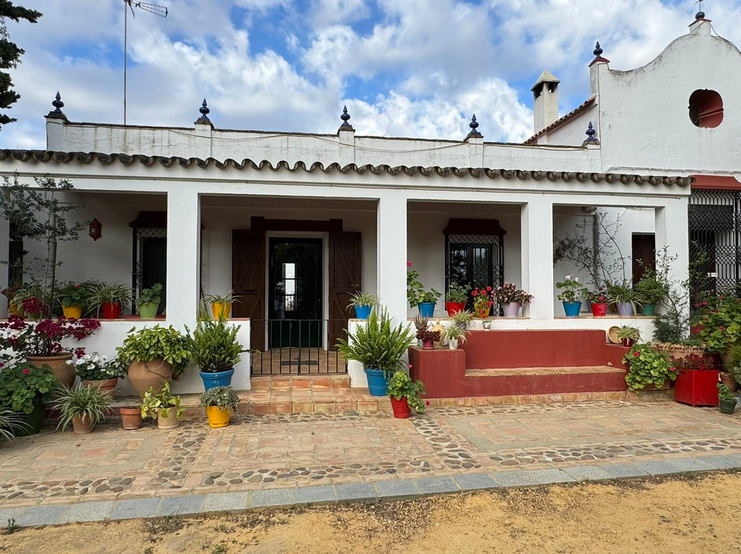 Basilippo-El Viso del Alcor必去景点