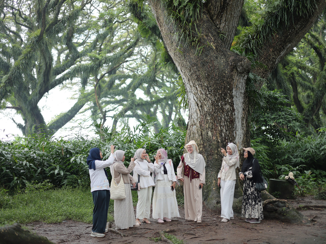 Go Discover Indonesia-巴纽旺宣必去景点
