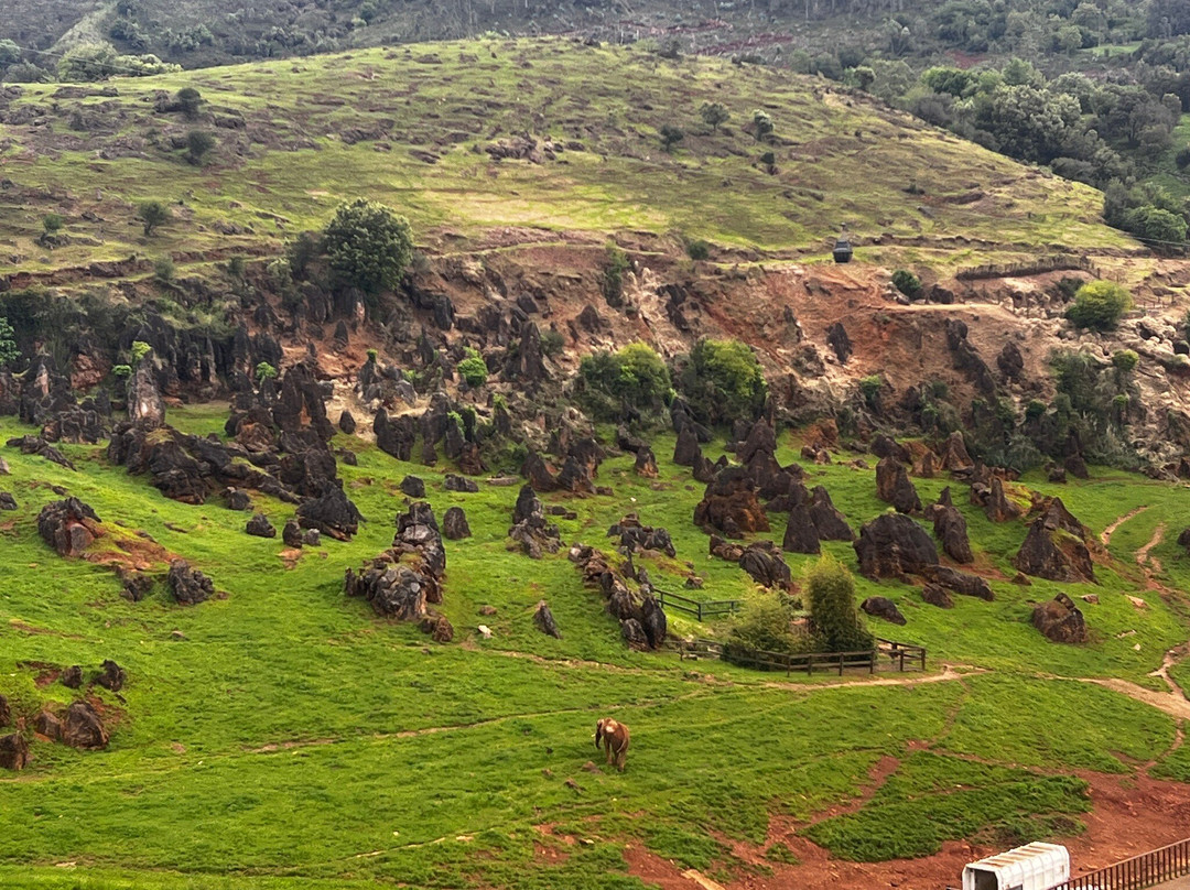 Parque de la Naturaleza de Cabarceno-Obregon必去景点