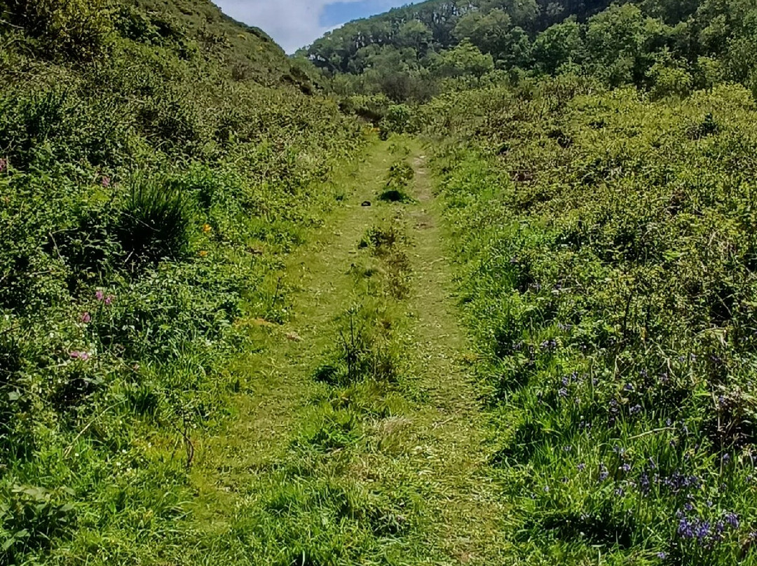 Ceredigion Coast Path-阿伯里斯特威斯必去景点