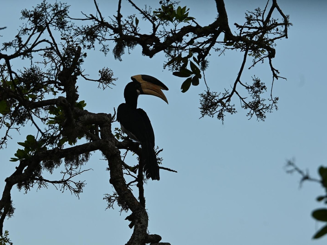 The Gilded Isle Lanka Tours-Melsiripura必去景点