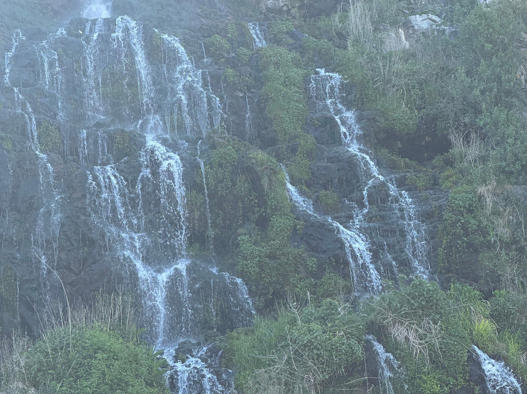 Thousand Springs-Hagerman必去景点