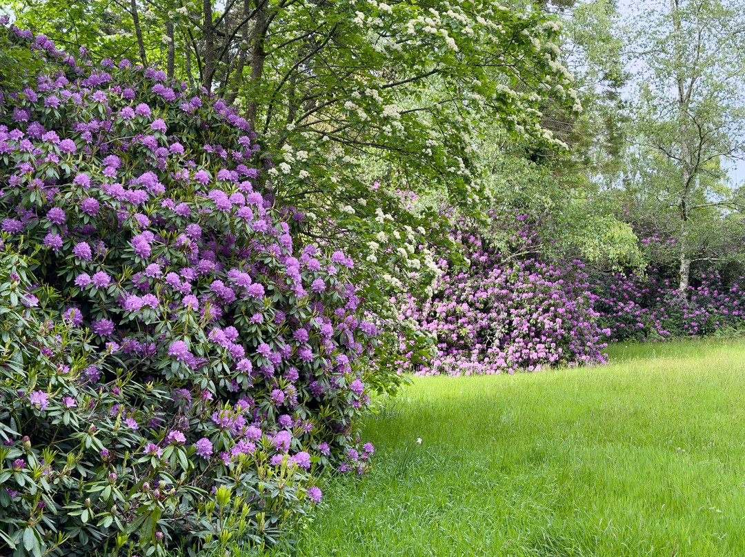 West Dean Gardens-奇切斯特必去景点