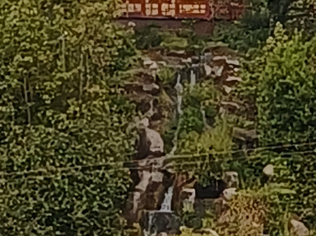 皮斯霍姆公园-斯卡伯勒必去景点