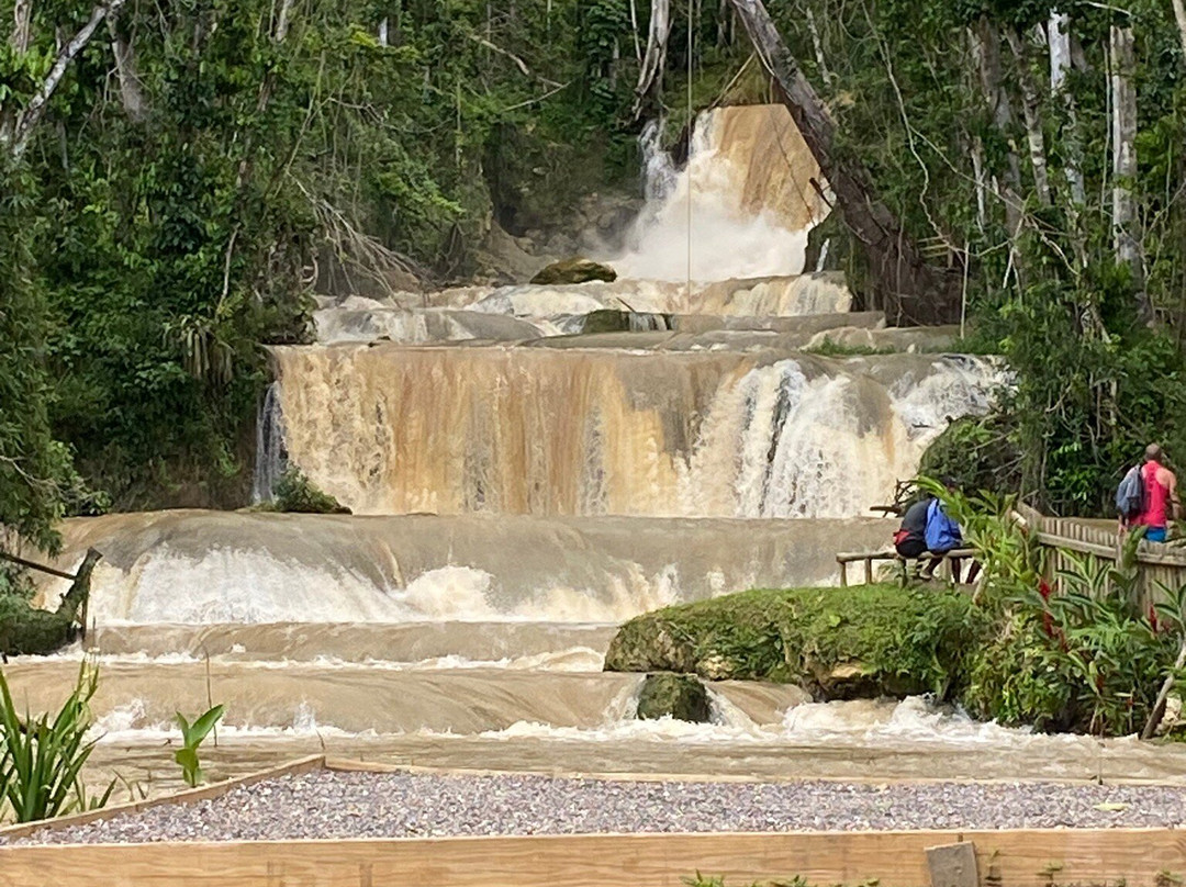 YS Falls-Saint Elizabeth Parish必去景点