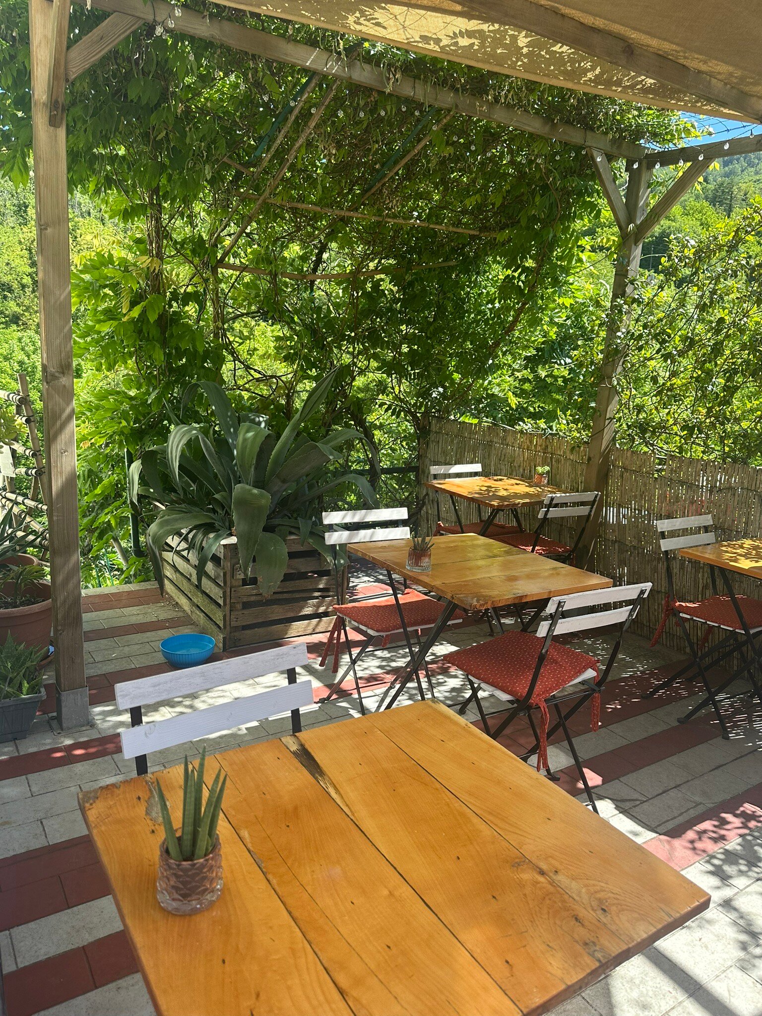 马斯特44酒店-旅行者