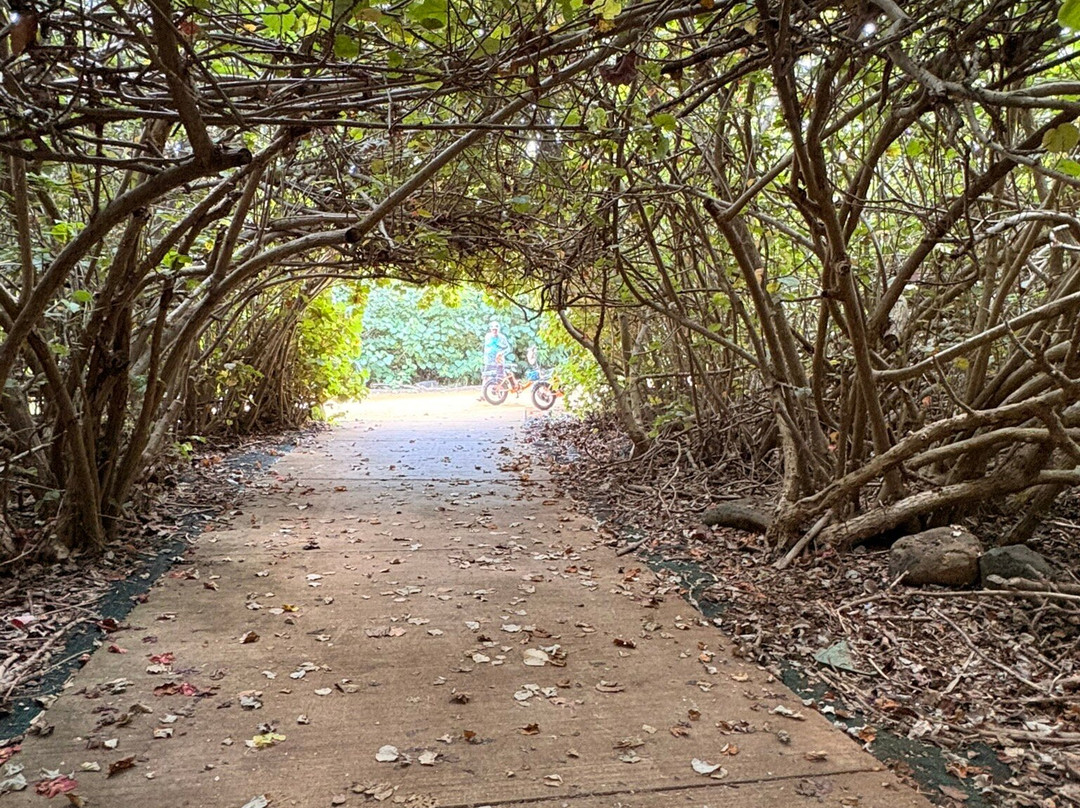 Hele on Kauai Bike Rentals-卡帕阿必去景点
