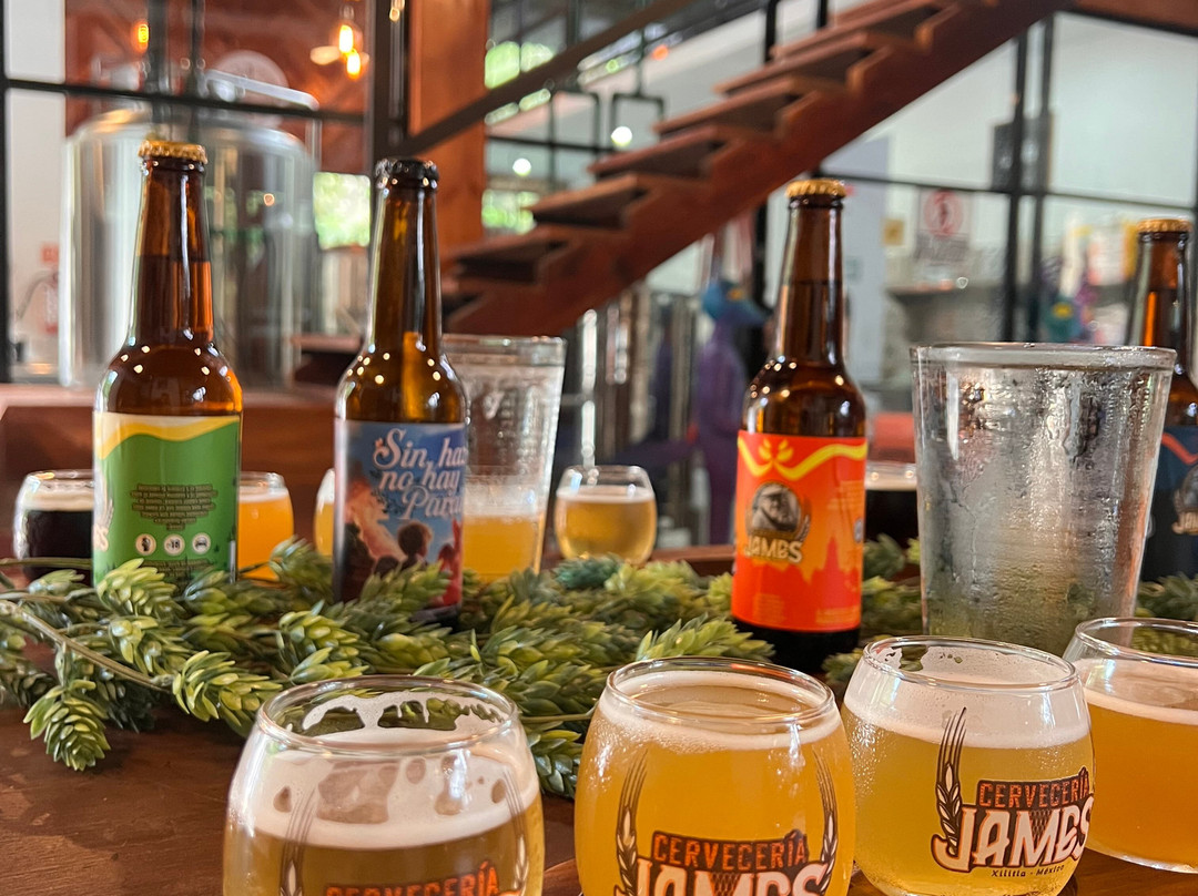 Cervecería James-Xilitla必去景点