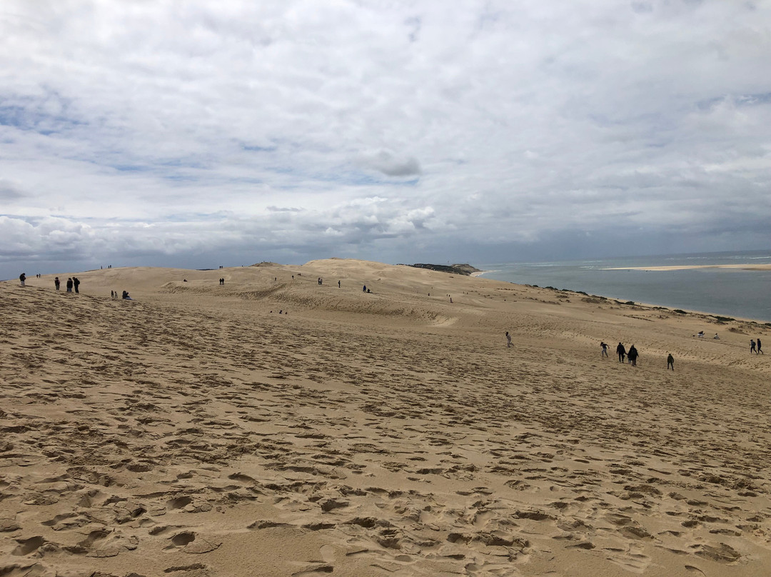 Great Dune of Pilat-拉泰斯特德比克必去景点