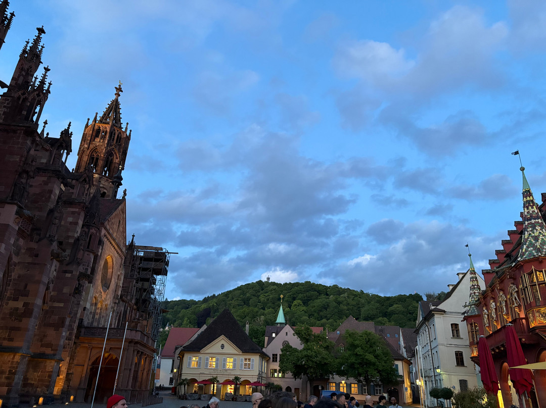 Münsterplatz-佛莱堡必去景点