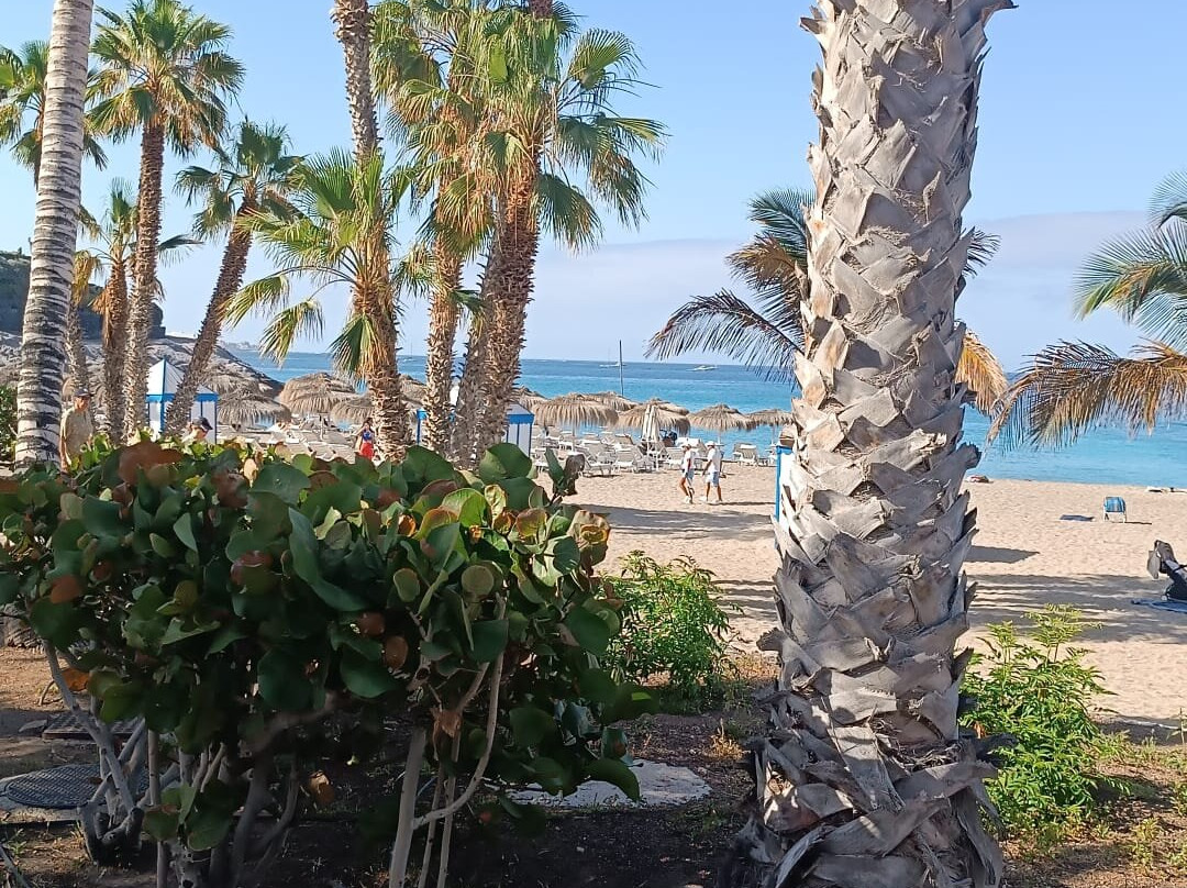 Playa del Duque-奥德杰海岸必去景点