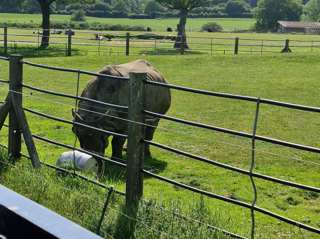 Whipsnade Zoo-邓斯特布尔必去景点