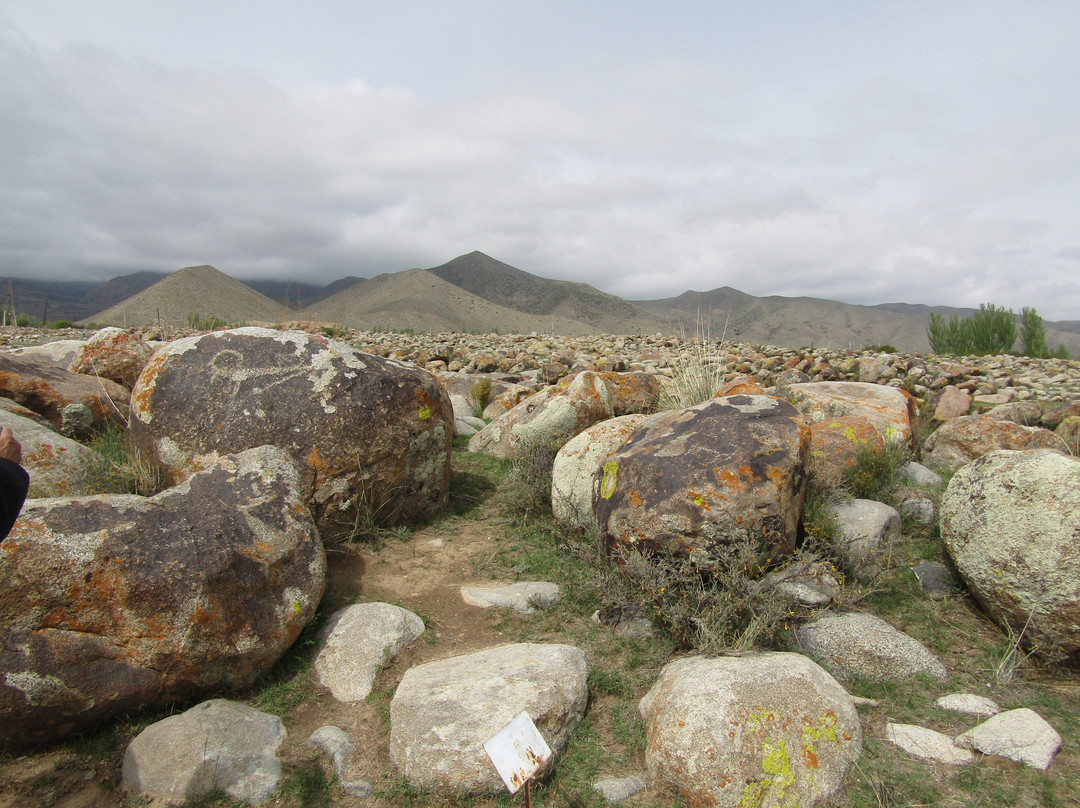 Museum of Petroglyphs-乔尔蓬阿塔必去景点