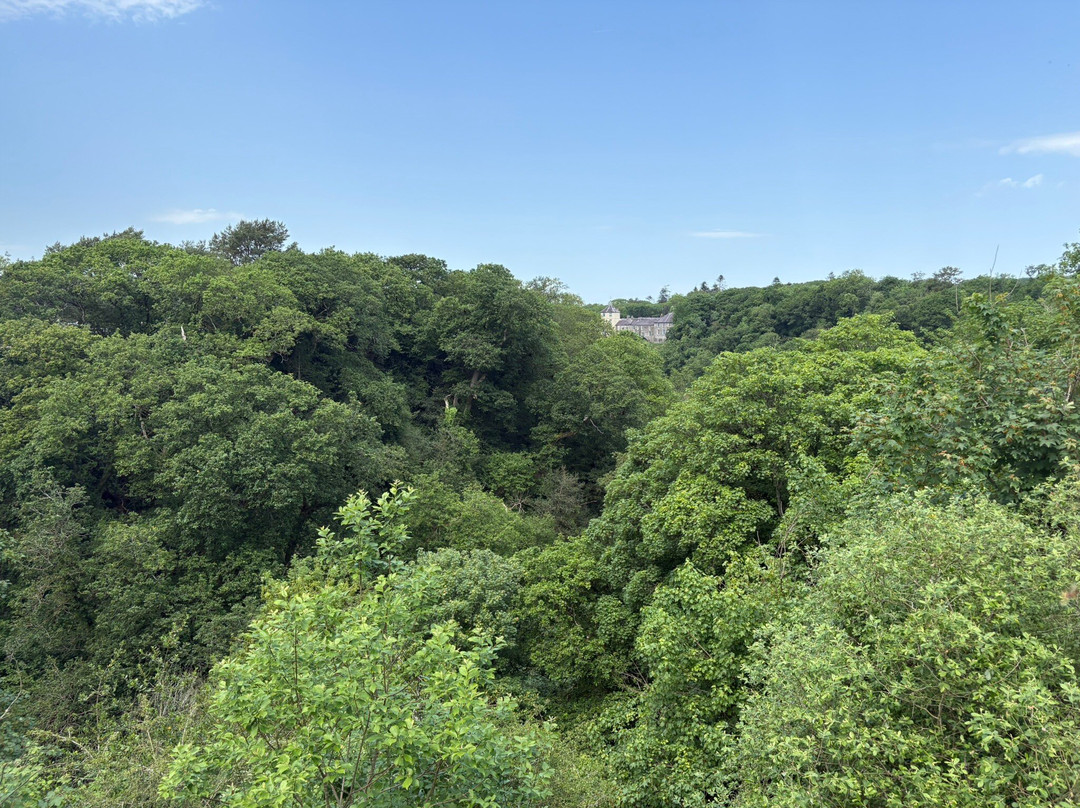 Castell Cilgerran-Cilgerran必去景点