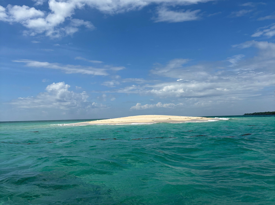 Triple J Zanzibar Tours And Transfers-桑给巴尔市必去景点