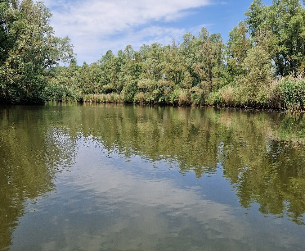 Biesbosch Sloepenverhuur-Drimmelen必去景点