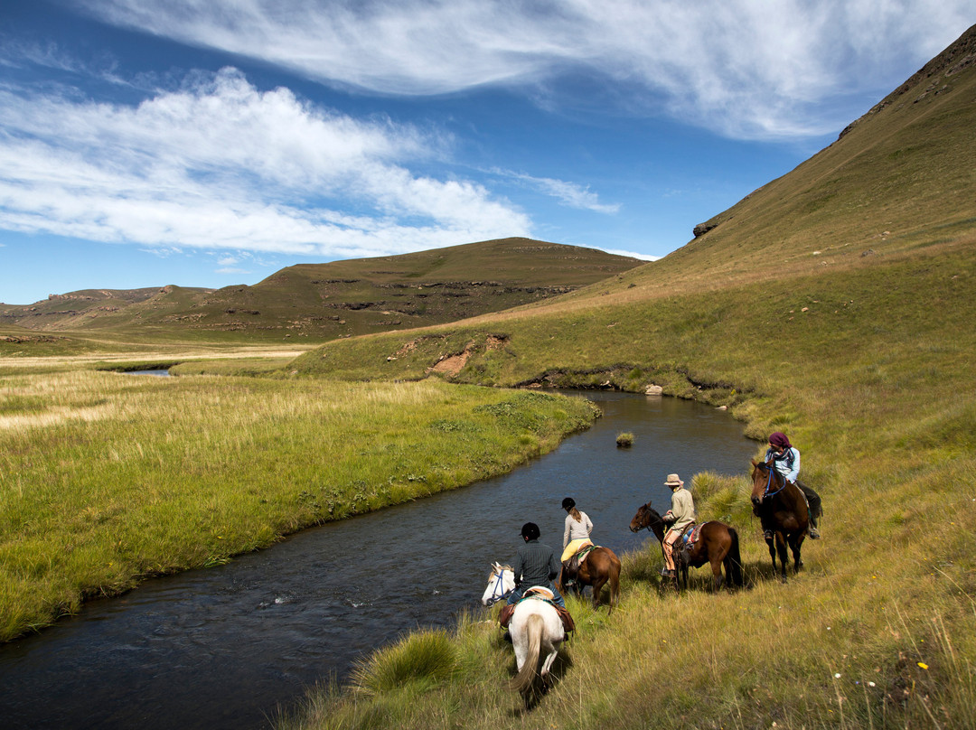 Khotso Horse Trails-安德堡必去景点