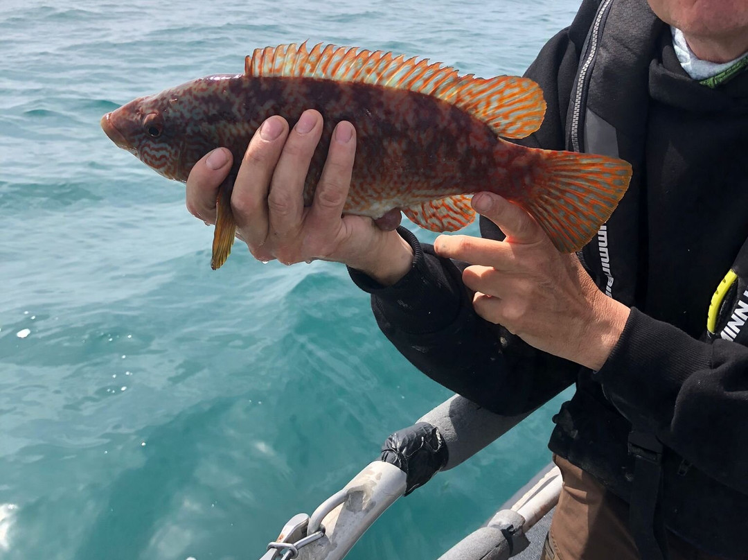 Awesome Fishing Wales-Dale必去景点