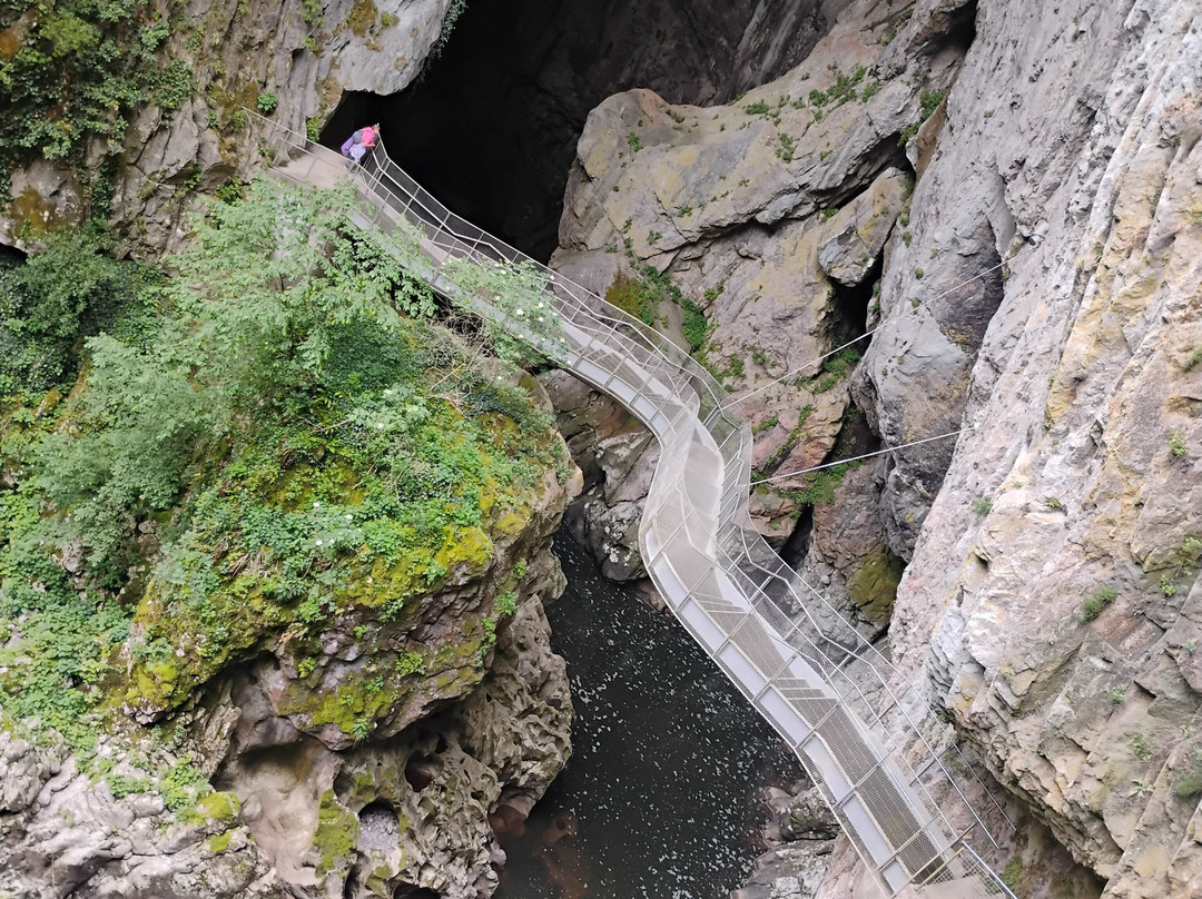 Škocjanske Jame-Skocjan必去景点