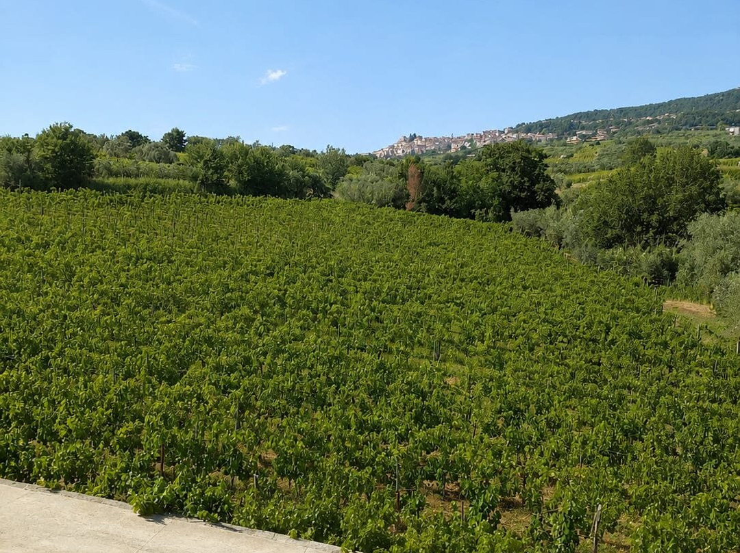 Tenuta San Girolamo-Guardia Sanframondi必去景点