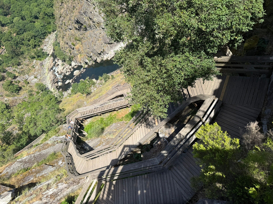 516 Arouca - Ponte Suspensa