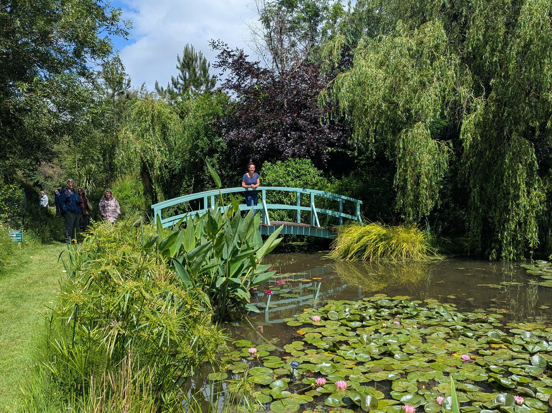 Bennetts Water Gardens-Chickerell必去景点