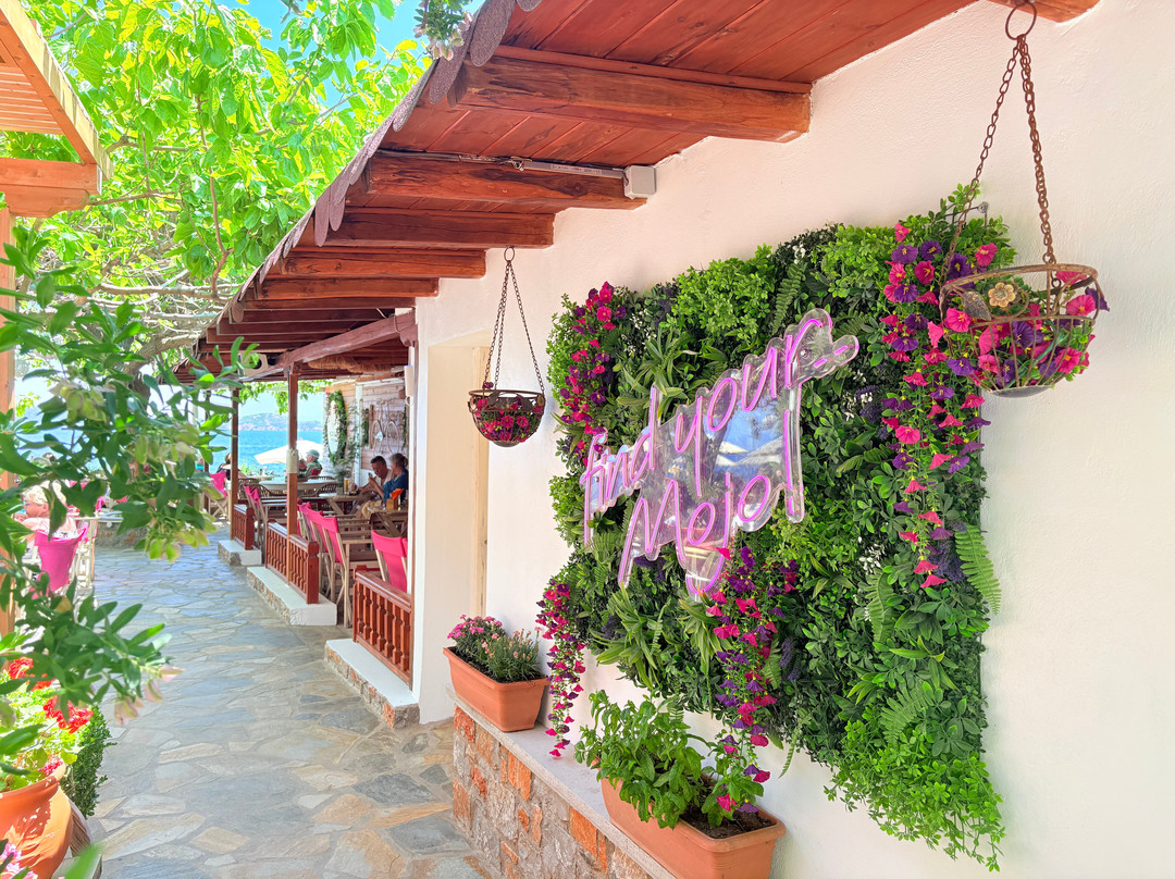 Mojo Bar by the Sea-Skiathos Town必去景点