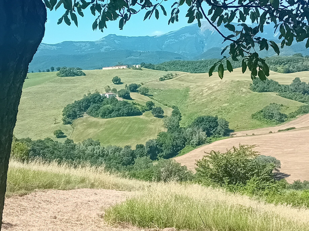 Agriturismo Ca Battista主图