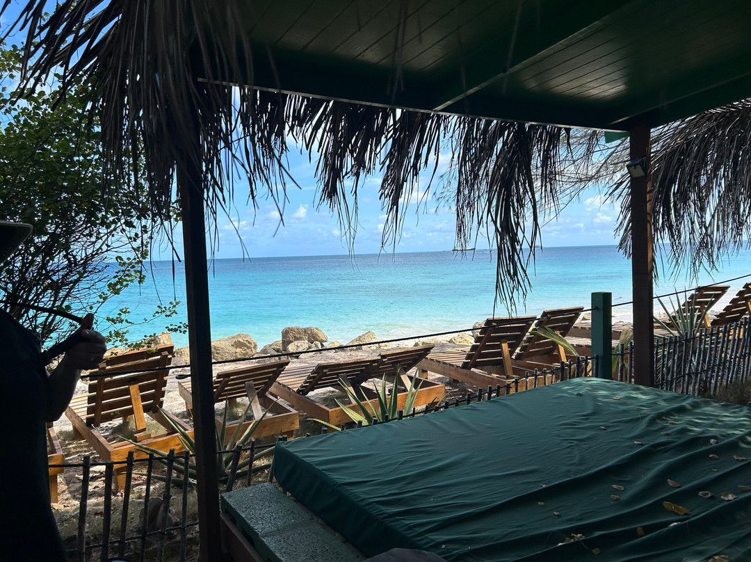 Treehouse Beach Club-圣 约翰必去景点
