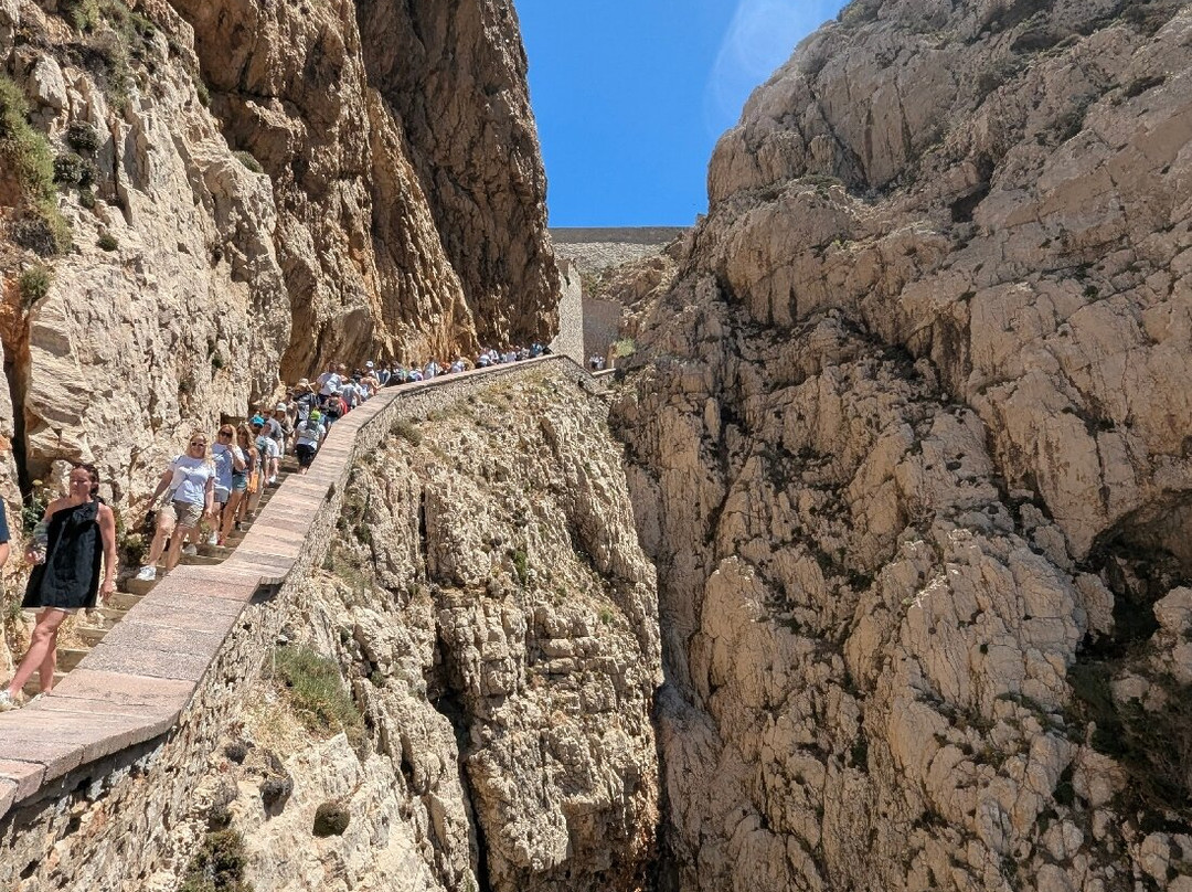 Frecce delle Grotte S.R.L-阿尔盖罗必去景点