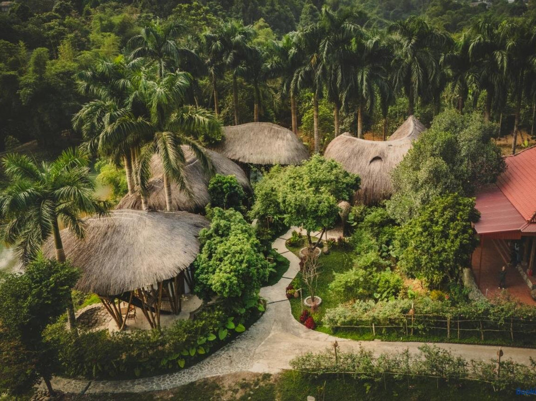Bamboo Hill