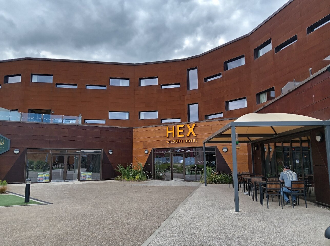 Hex野生动物酒店主图