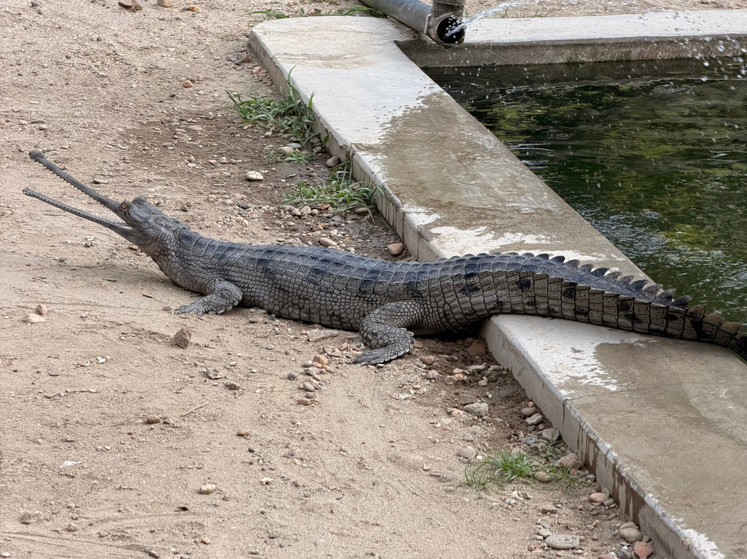 Nature Encounter Tours-苏拉哈必去景点