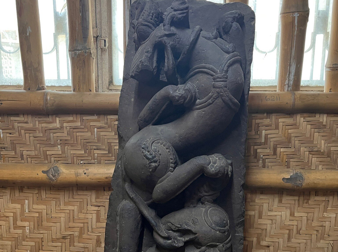 Rani Durgavati Museum-贾巴尔普尔必去景点