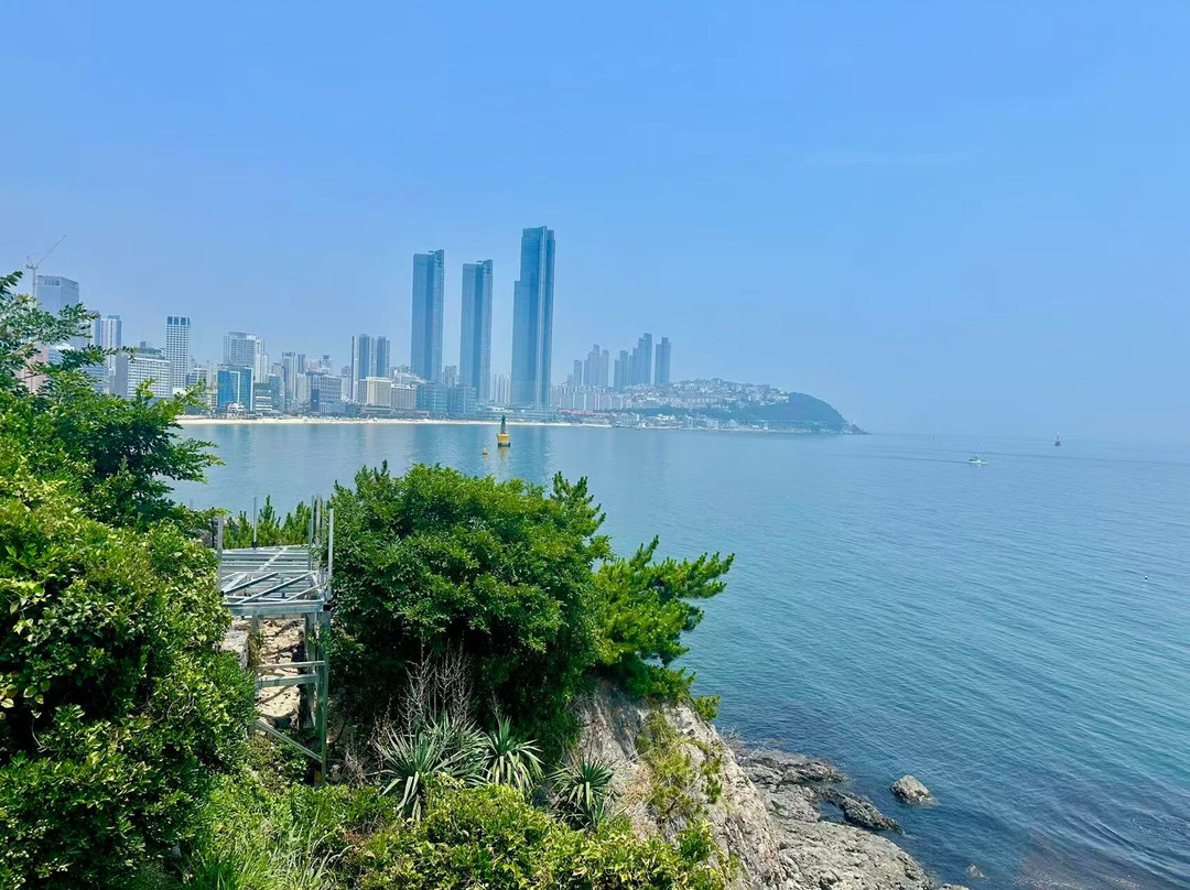 Dongbaekseom-釜山必去景点