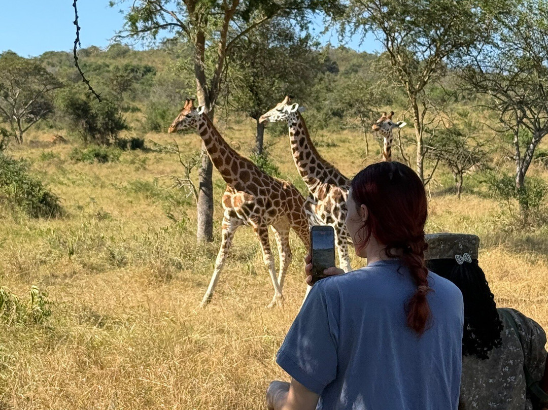 Lake Mburo National Park-Mbarara必去景点