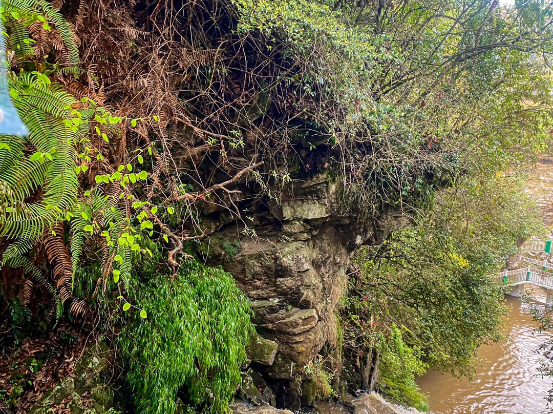 Elephant Falls-西隆必去景点