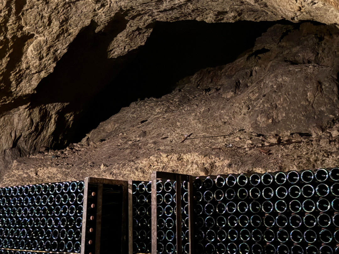 Langlois Crémant de Loire-梭缪尔必去景点